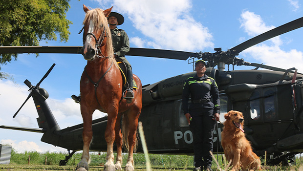 Departamento de Polic&iacute;a Cauca 