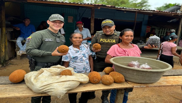 Departamento de Polic&iacute;a Vaup&eacute;s