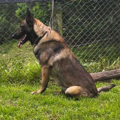Puski de la Policia Nacional_L.I