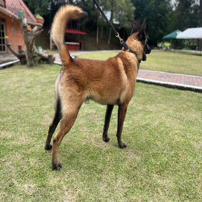 Ramses de San Martín de la Vega_L.D