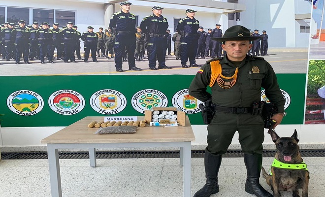 “Chispas", un perro antinarcótico que descubrió más de 2000 dosis de marihuana en una empresa de mensajería