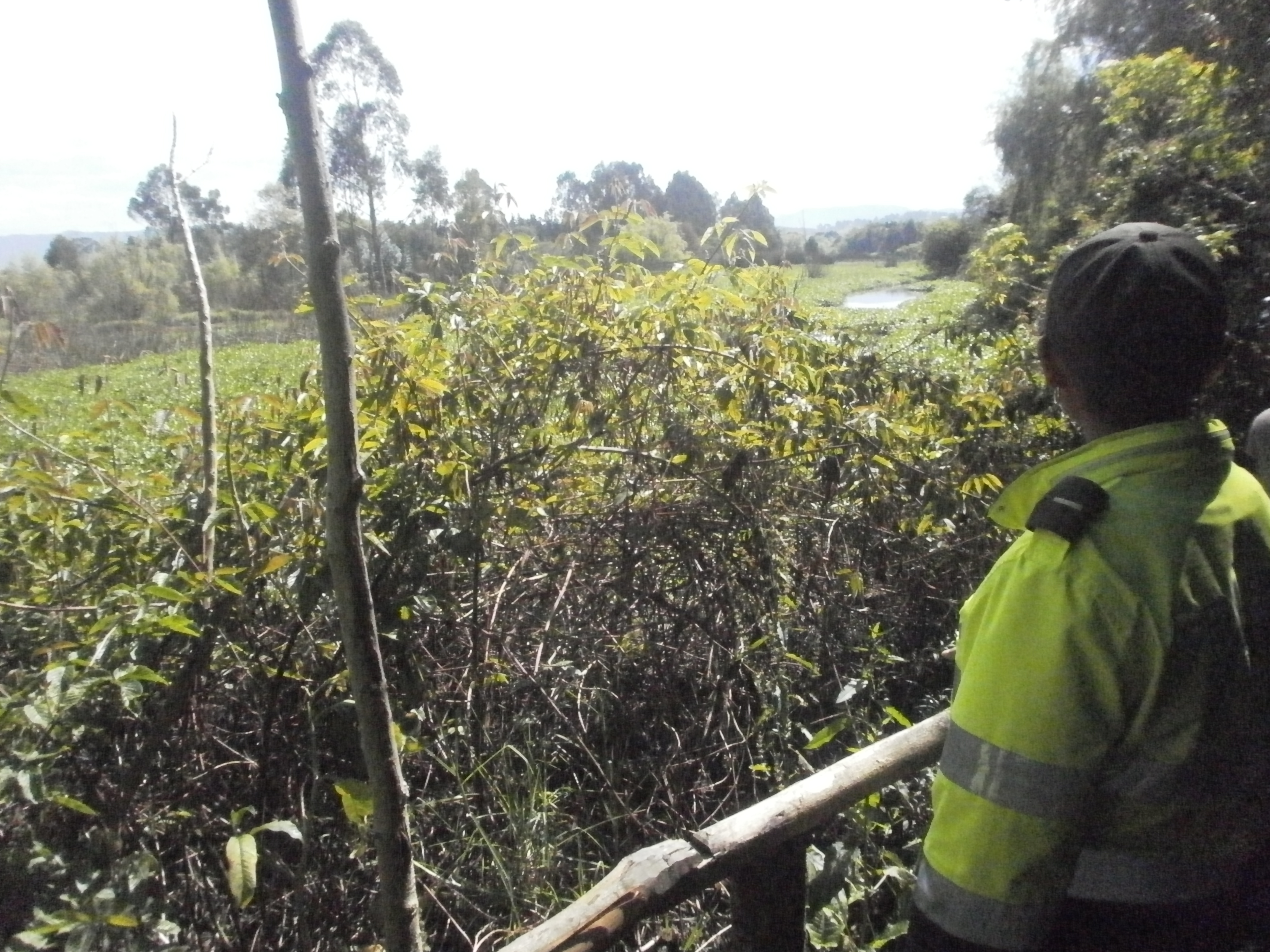 capturas_por_construccion_en_humedal_fontibon