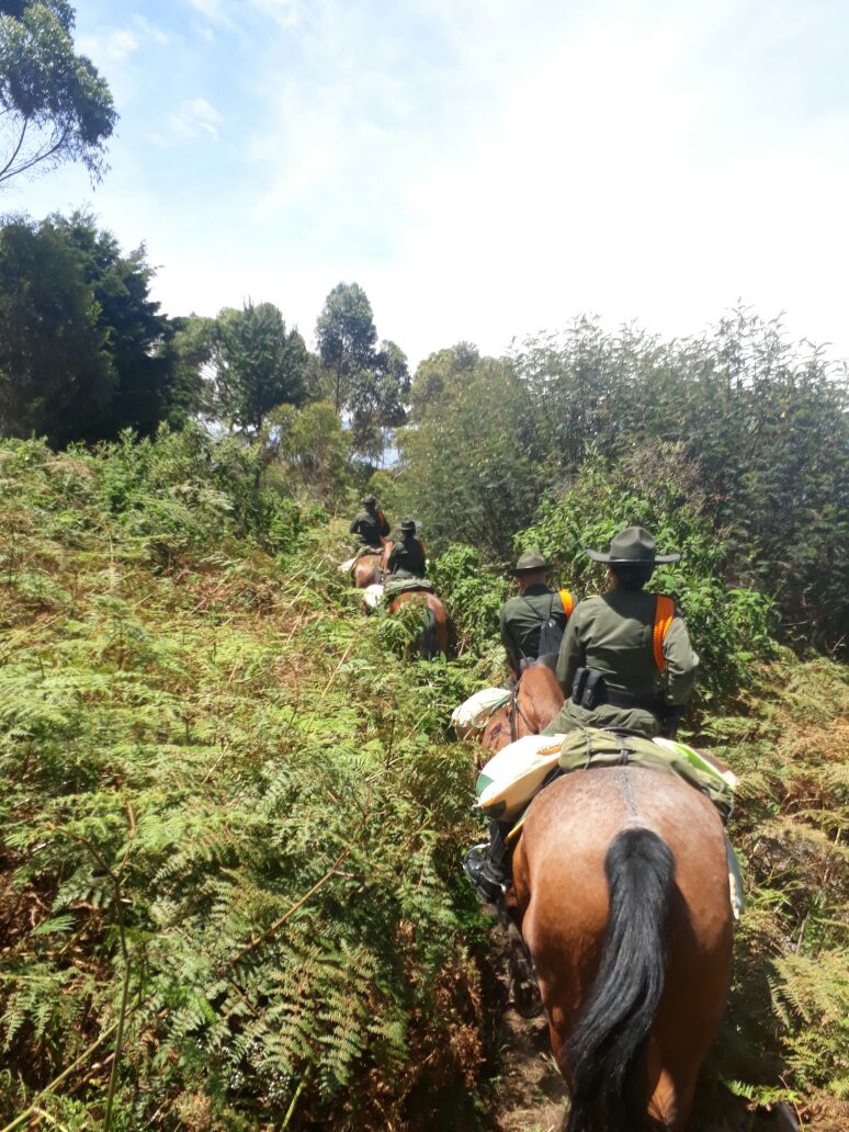 Carabineros llegando a zonas veredales en Antioquia 