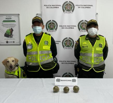 Actividades de registro y control permiten la incitación de 193 gramos de marihuana