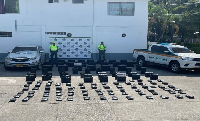 Incautada una tonelada de sustancia vegetal que se asemeja a la marihuana