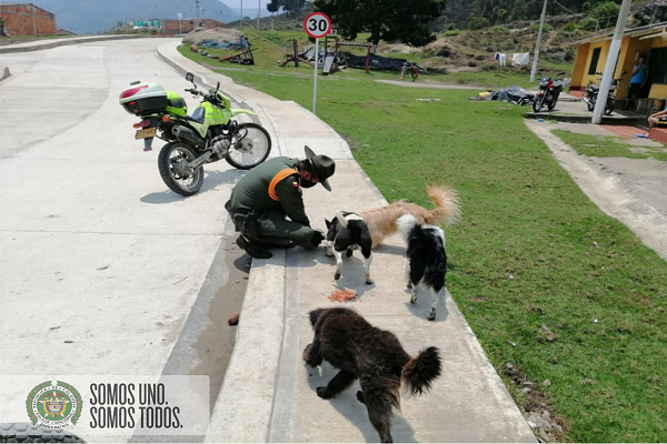 Estamos comprometidos con la protección animal 