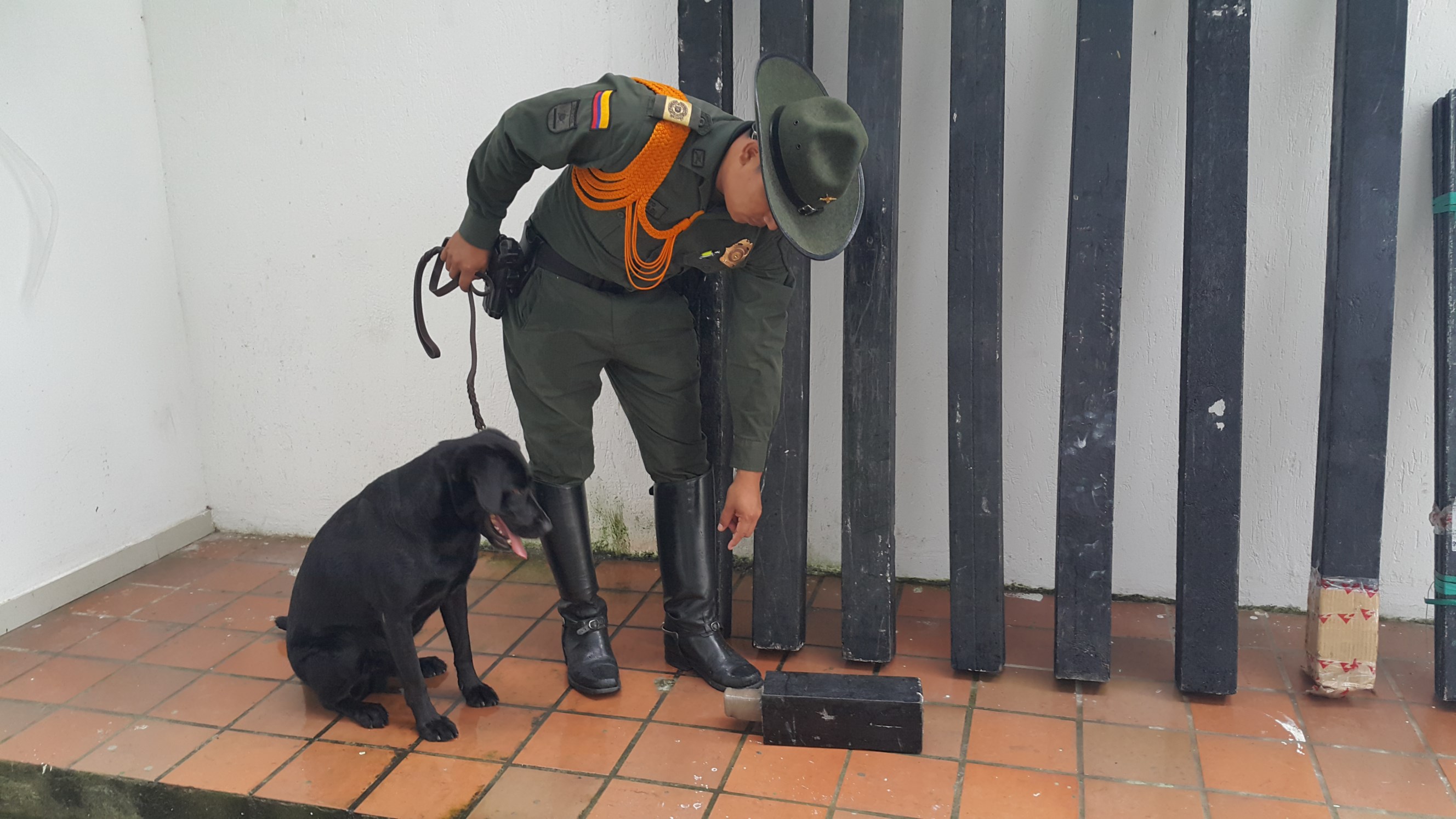 Lucha sostenida contra el narcotráfico y el narcomenudeo