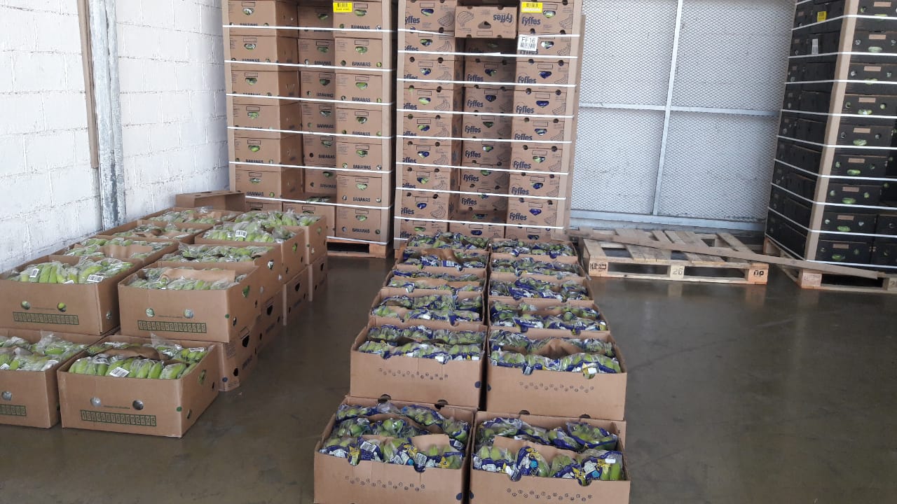 Incautamos-209-kilos-de-cocaína-ocultos-en-cajas-de-banano.