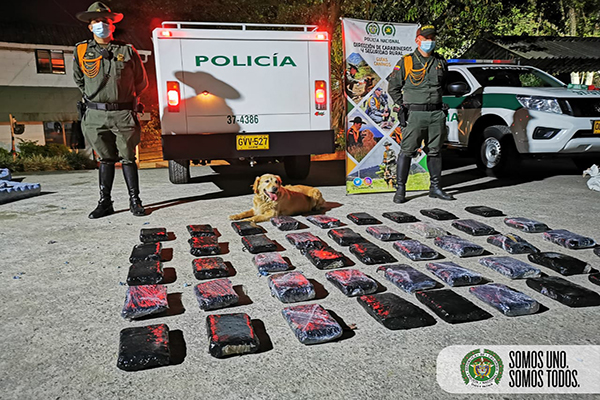 En controles en terminales de transporte de Medellín incautados 50 kilos de marihuana 