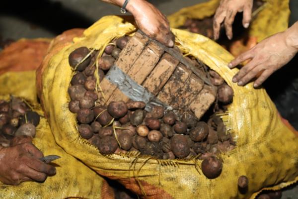 El alcaloide estaba oculto en bultos de papa, transportado por un tractocamión