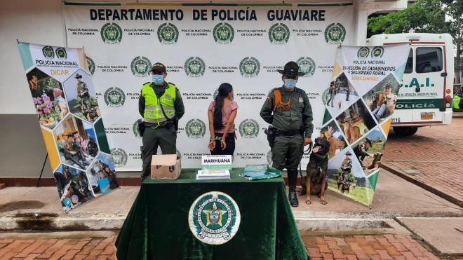 Gracias al olfato de nuestra canina “Karen”, se logró capturar a una ciudadana que pretendía transportar marihuana