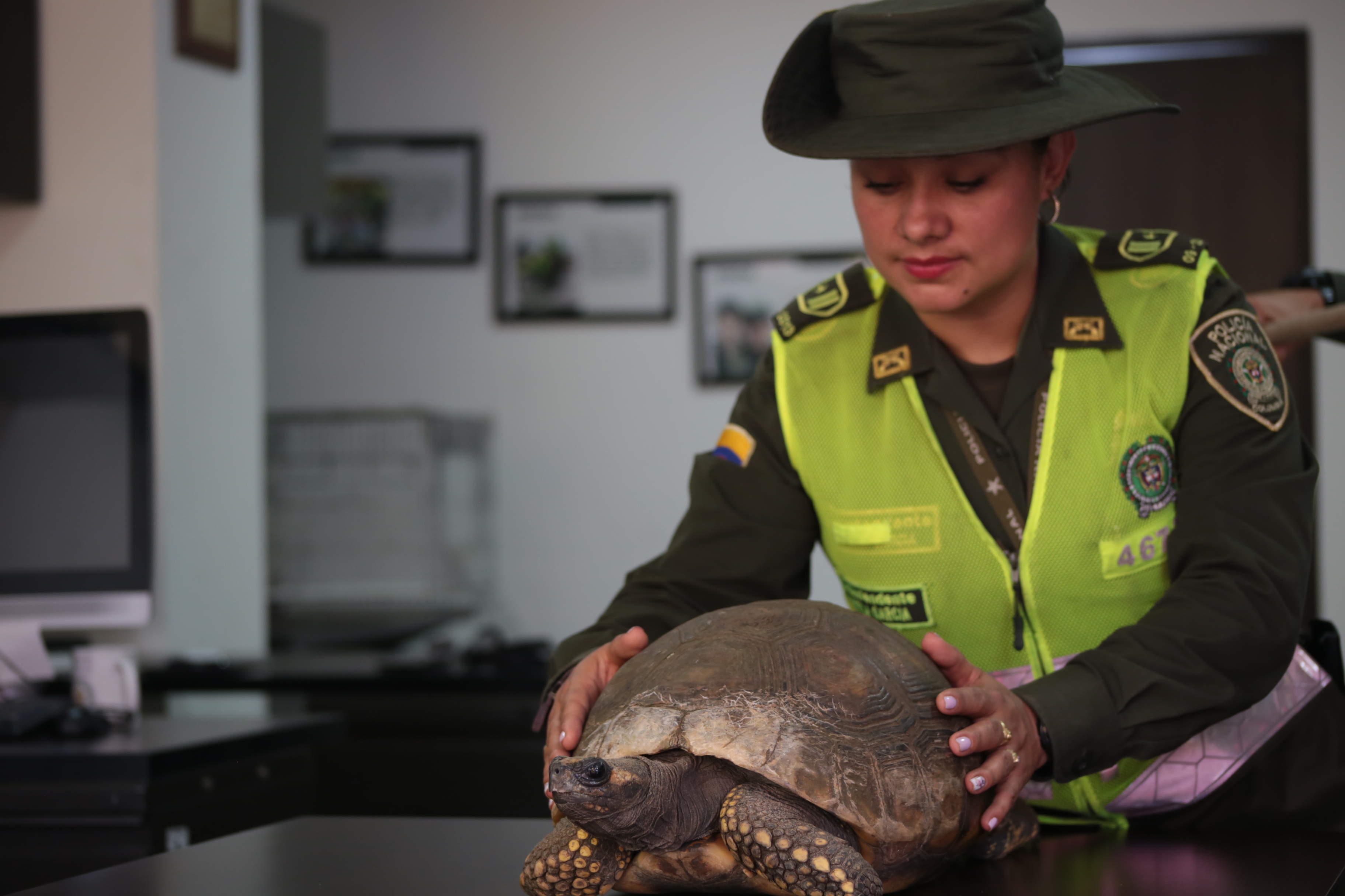 compromiso_ambiental