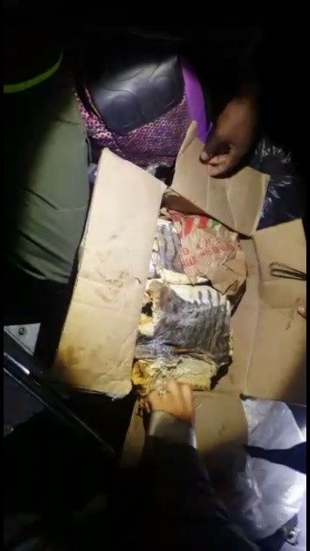 El elemento era transportado en la modalidad de encomienda