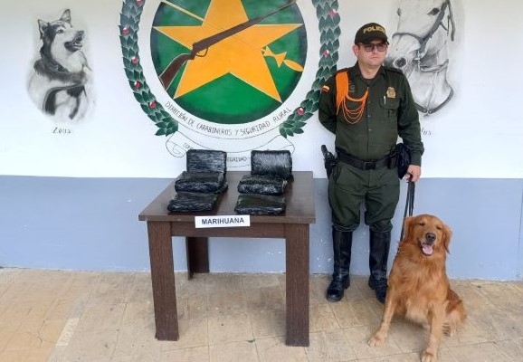 Trabajando de acuerdo al trinomio de la seguridad, se brindan importantes resultados.    