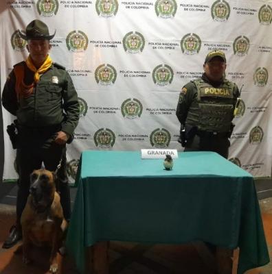 Hallazgo de una granada en La Tebaida 