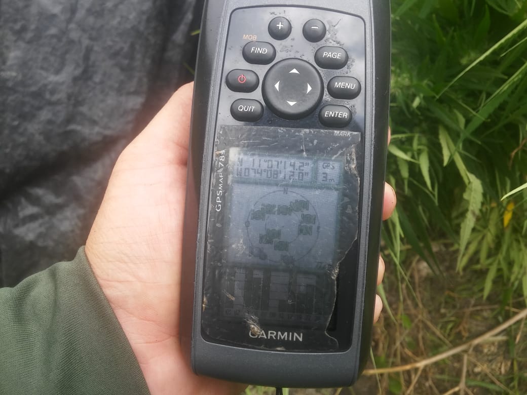 Hallamos-400-kilos-de-marihuana-en-Santa-Marta 