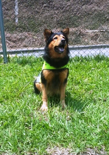 Zeus, un gran amigo que nos ayuda en la luchas en contra de las drogas ilegales