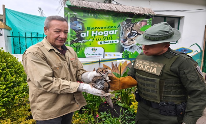 Recuperamos más de 1.600 especímenes y  subproductos de la biodiversidad colombiana