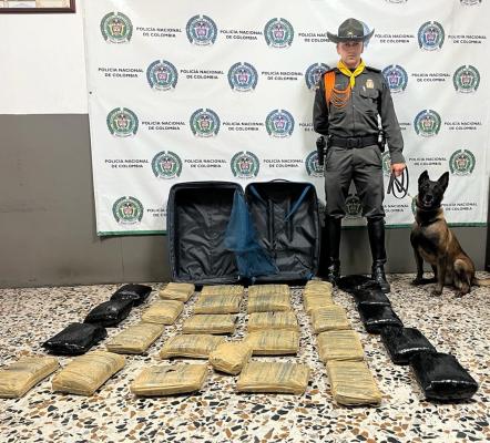 incautación de estupefacientes gracias a nuestro canino