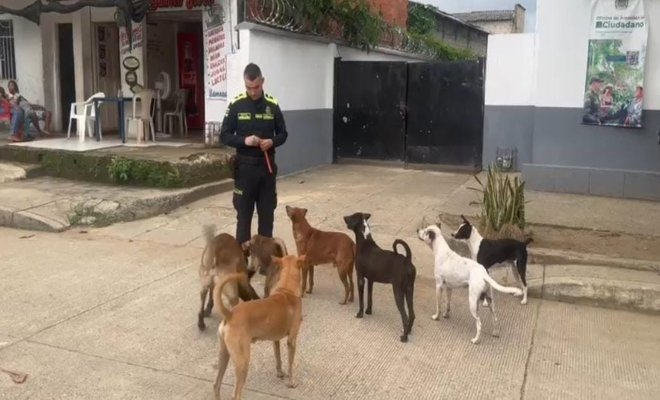 En el departamento de Policía Bolívar, estamos comprometidos no solo con la seguridad de las personas, sino también con el bienestar de los animales