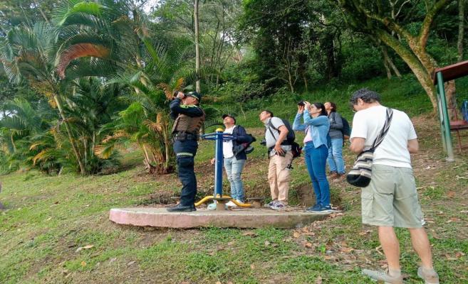 Actividades de avistamiento, identificación y conteo de aves