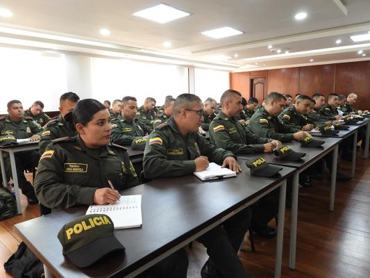 Avances en la profesionalización