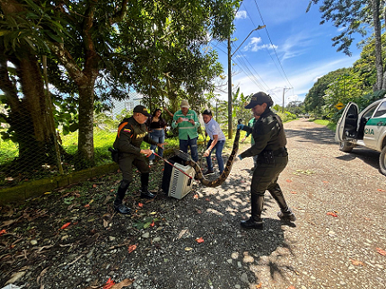 Ciudadanía aporta a la protección de la fauna silvestre en Urabá