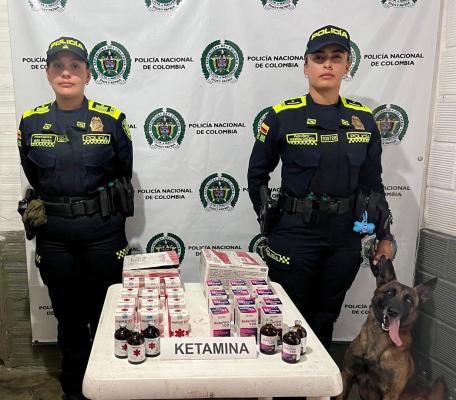 Canino de la Policía pone al descubierto cargamento de ketamina
