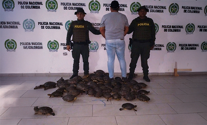 Capturado por trafico ilegal de fauna silvestre
