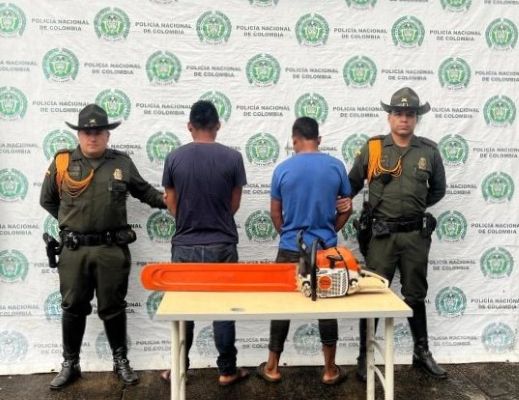 Cuidar el medio ambiente es responsabilidad de todos, protege los bosques y cuida el agua.