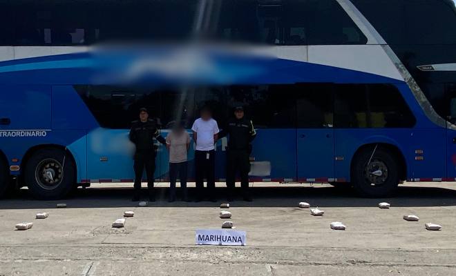 Capturados dos conductores por transportar 16 kilos de marihuana en caleta de bus intermunicipal