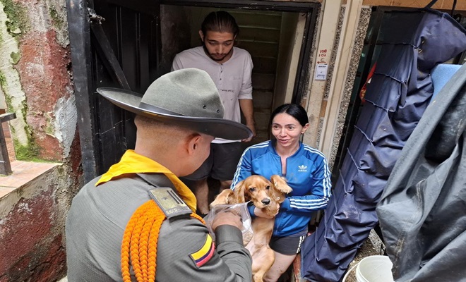 Carabinero revisando un canino