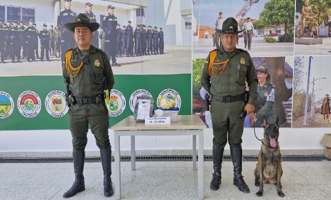 Más de 1000 dosis de cocaína fueron detectados por un perro antinarcótico