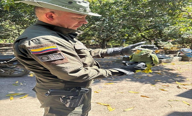 Carabineros de la Policía Tolima con su grupo control a la biodiversidad y protección animal comprometidos con la protección de la fauna silvestres