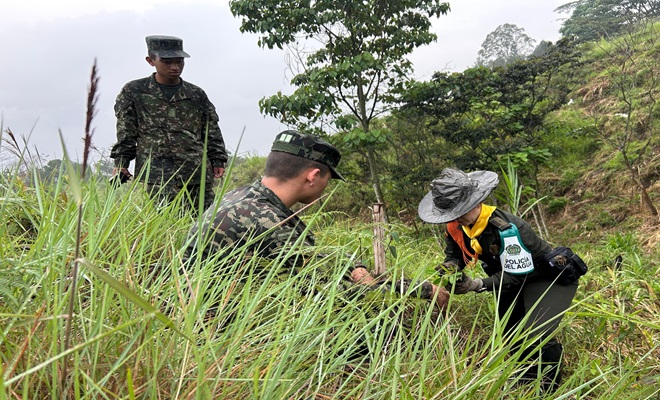 Conmemoración día de la tierra 
