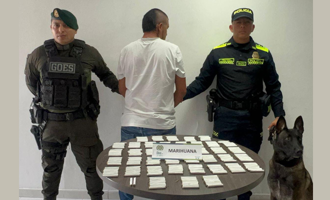 Durante una inspección en zona boscosa de este mismo sector, uniformados del grupo de Guías Caninos hallaron cuatro mil gramos de marihuana y 30 gramos de clorhidrato de cocaína.