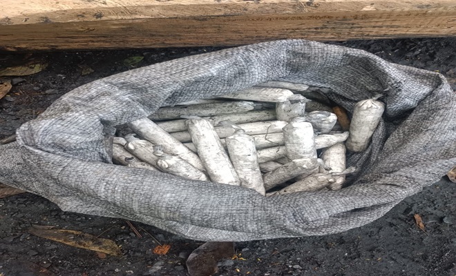 Explosivos incautados al interior de un contenedor en fibra