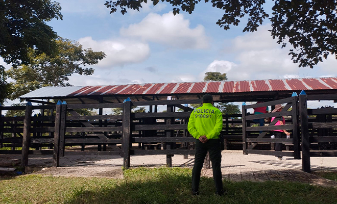 La operación se llevó a cabo en cuatro departamentos en donde la organización criminal tenía casas, fincas y autos de lujo. 