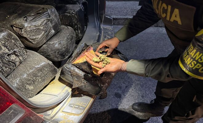 Frustran tráfico de drogas 