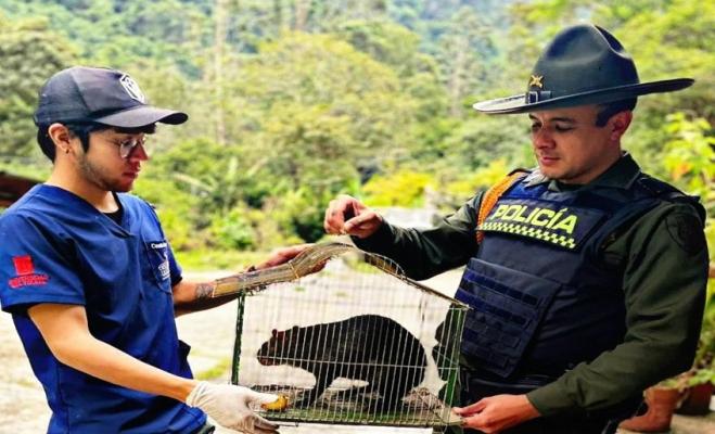 Su rescate fue posible gracias a la oportuna colaboración de la comunidad