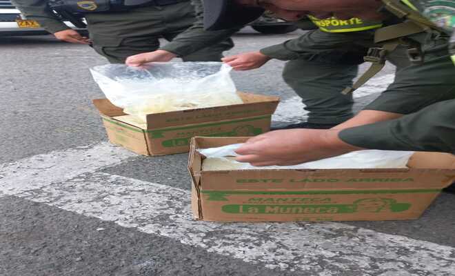 Incautan estupefacientes 