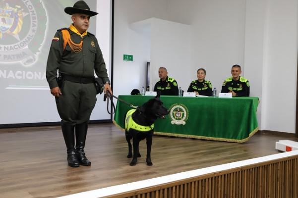 Logam estará en un hogar rodeado de mucho amor
