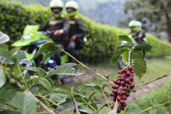 Plan cosecha 2024 “Más cerca del campo”