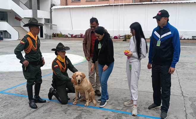 Esta canina fue entrenada con un enfoque antiexplosivo tanto en zonas urbanas, como rurales, adaptándose a las diversas condiciones climáticas, topográficas y situaciones de orden público. 