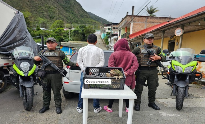 Capturadas dos personas por tráfico de fauna 