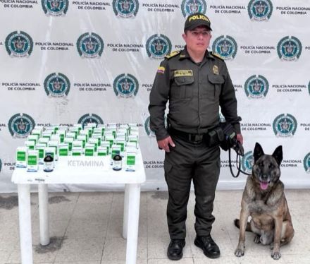 , el canino antinarcóticos “Marlon” detectó un paquete sospechoso, indicando la presencia de sustancias controladas