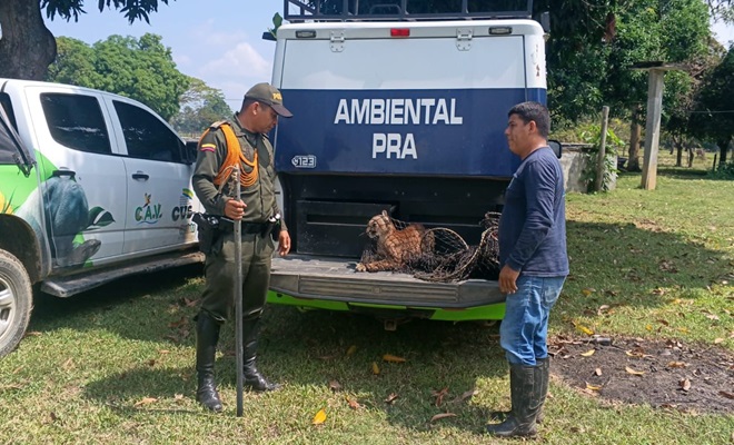 Policía con la ciudadana