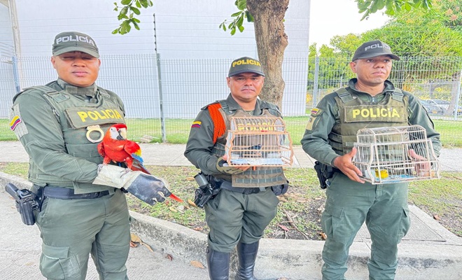 Policías sosteniendo jaulas con aves