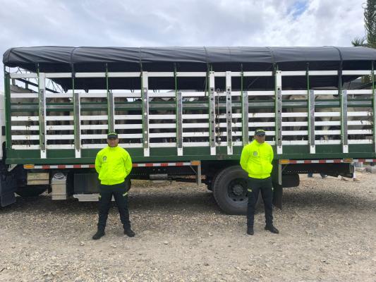 Recuperados 21 semovientes hurtados en zona rural de Pore, Casanare