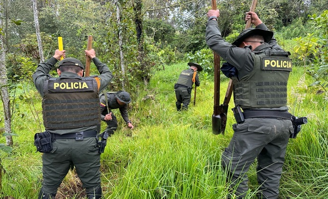 En Nariño, la Policía Nacional lideró la siembra de más de 600 árboles nativos. 